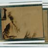 Claudia Kleefeld - Figurative oil painting and Photography